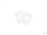 网红猫窝再爆闷死猫，智能宠物设备真的适合主子们吗？