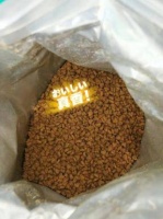 宠物攻略丨猫砂的使用方法有哪些？