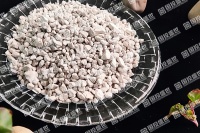 沸石猫砂：走进未来的宠物健康与环保之路