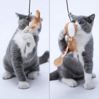 猫咪喜欢什么？10款热门猫玩具推荐，猫咪玩具评比&使用须知