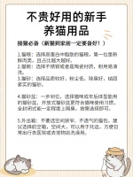 20件不贵好用的新手养猫用品