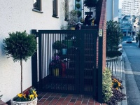 日本式养宠：堪比人类世界的细致服务