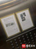 南京多个部门“会诊”家门口的“宠物殡仪馆”