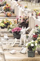 尴尬的“宠物最后一站”