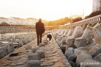 对话恩宠堂徐桦：不止于生意，如何“重做”宠物殡葬行业？