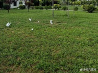 沈阳盘龙福地墓园设施及设备的维修、养护管理