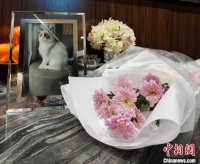 与爱宠体面告别：宠物殡葬行业“健康成长”如何被“看见”？