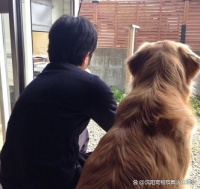 宠物爱心服务站，沈阳宠物殡葬13998273516