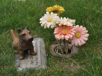 美国宠物公墓：给爱宠们一个最后的归宿