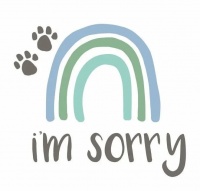 「最后的事」，关于如何面对宠物离世，你需要知道的事。