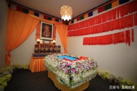 6487只宠物，离开主人后，来到了我设计的“房子”里