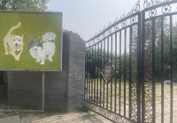 揭秘宠物墓地上万价格直逼房价，这是一个多大