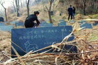 西安现豪华宠物墓地 最高三万六配“哭灵”服务