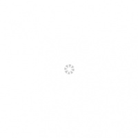 西安狗狗火化 厂家、批发、价格、电话