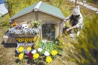 如何为宠物找到更好的归宿