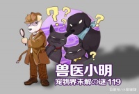 辟谣：宠物安葬服务是多此一举吗？它们值得更体面的告别方式