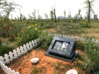 昆明宠物公墓尴尬生存 无处办理合法手续