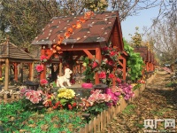 调查:超半数人愿为宠物买殡葬服务 僧人超度加1万