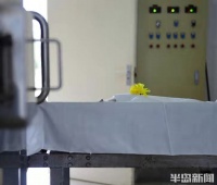 特别策划•图说 宠物殡葬馆——爱宠最后的尊严与归宿