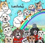 狗死了怎么办？成都思萌念宠宠物火化服务提供7*24小时上门服务