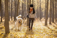 家养宠物狗狗去世宠物火化哪家好