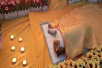 开一家宠物殡仪馆需要注意什么？