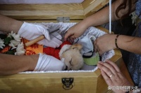 深圳宠物火化的价格标准，怎么收费？