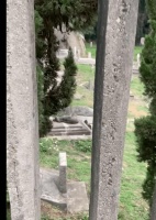 临近过年两只狗狗想念去世主人，趴在他的公墓前默默陪伴，好感人