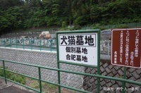 网友发了一个国外的宠物墓园，网友热评：居然还能养这种宠物？