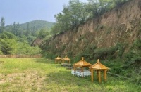 宠物墓地一平米达 4 万，经营方无资质，你会给宠物购买墓地吗？