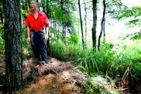 重庆出现宠物狗墓地 下葬模式与人完全相同