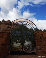 宠物殡葬：美国这片宠物墓地，充满了爱与回忆