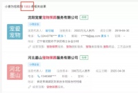 宠物墓地价格上万，我们该如何告别去世的猫狗？