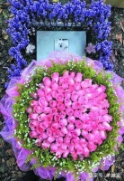 宠物去世后，你会为Ta选择墓地安葬吗？