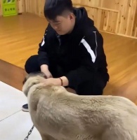 赵本山儿子炫富惹争议！网传其花260万买宠物狗，本人出面否认