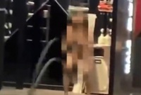 疑因健身房拒绝带猫进场，一女子脱衣全裸大喊大闹捣乱