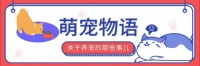 夏日宠物们如何消暑？来宠物游泳馆看“正宗狗刨”！还有泡泡浴、室内跑步机…丨盛夏时节的爱犬养护