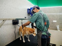 青浦首店！这家宠物乐园有点不一样