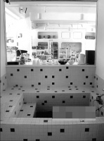 刘孜投资30万开宠物店给狗做SPA