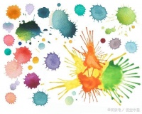 菲顿宠物：这家网红咖啡馆靠着“熊猫狗”获得1.7亿浏览量