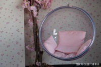 除了猫主题餐厅，北京这家有10只柴犬的咖啡馆才是新晋网红圣地