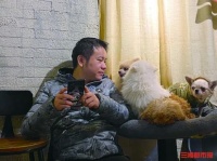 另类“宠咖”店主李晶：给流浪猫狗一个庇护所
