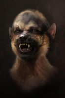 宠物狗意外死亡托梦给主人？专家解释纯属巧合