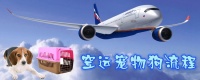 空运宠物狗流程