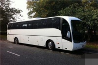 宠物托运）烟台宠物托运、宠物托运价格查询