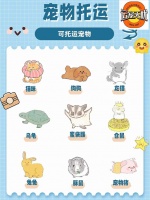 宠物托运主要有以下五种方式