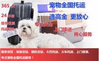 成都宠物托运全国 当日达 专业放心 航空 汽运 火车一应俱全