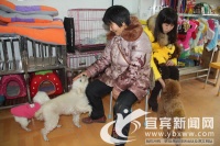 [提案关注]加强宠物狗规范管理 提升城市形象