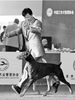 狗狗健美比赛，他们乐在其中