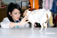 组图：江语晨为宠物狗比赛当评审亲吻小狗